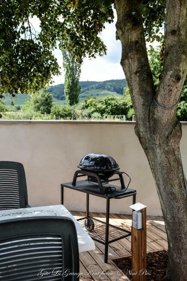 Gite Spa La Grange Kintzheim Exterior photo